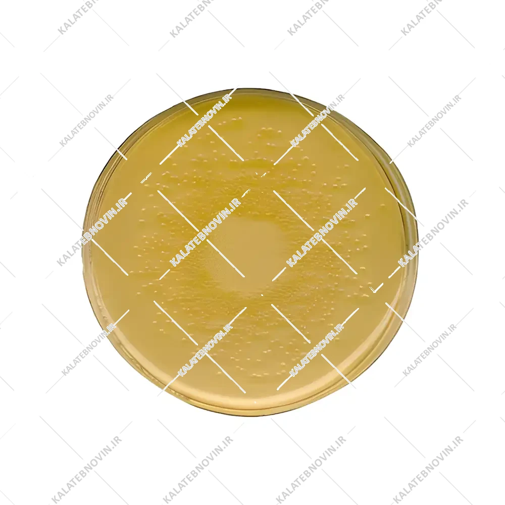آگار برین هارت Brain heart agar