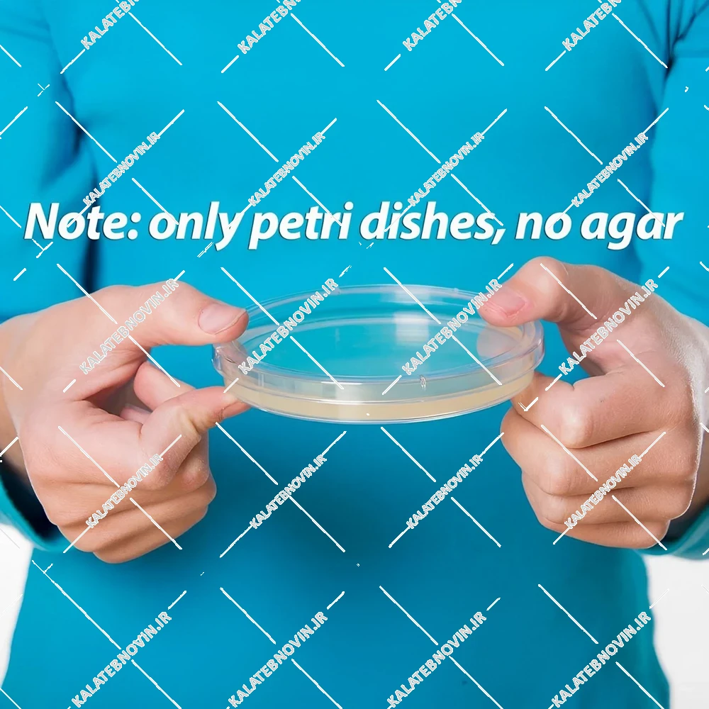 پلیت آزمایشگاهی